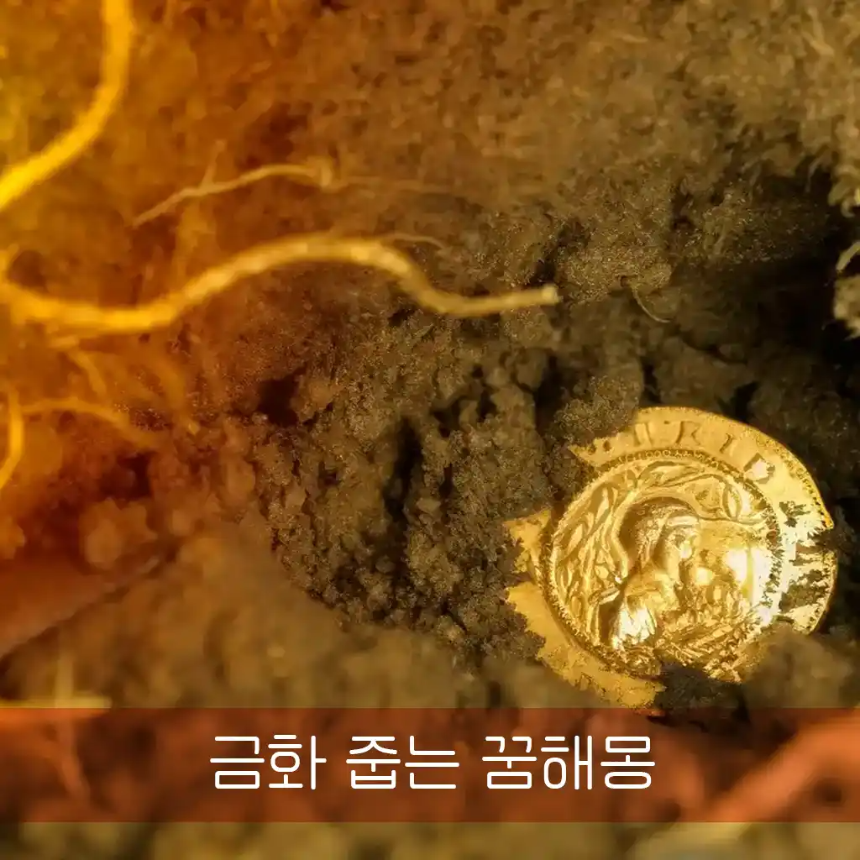 금화 줍는 꿈