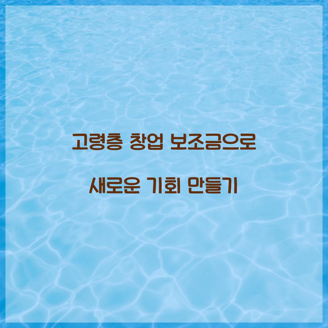 고령층 창업 보조금