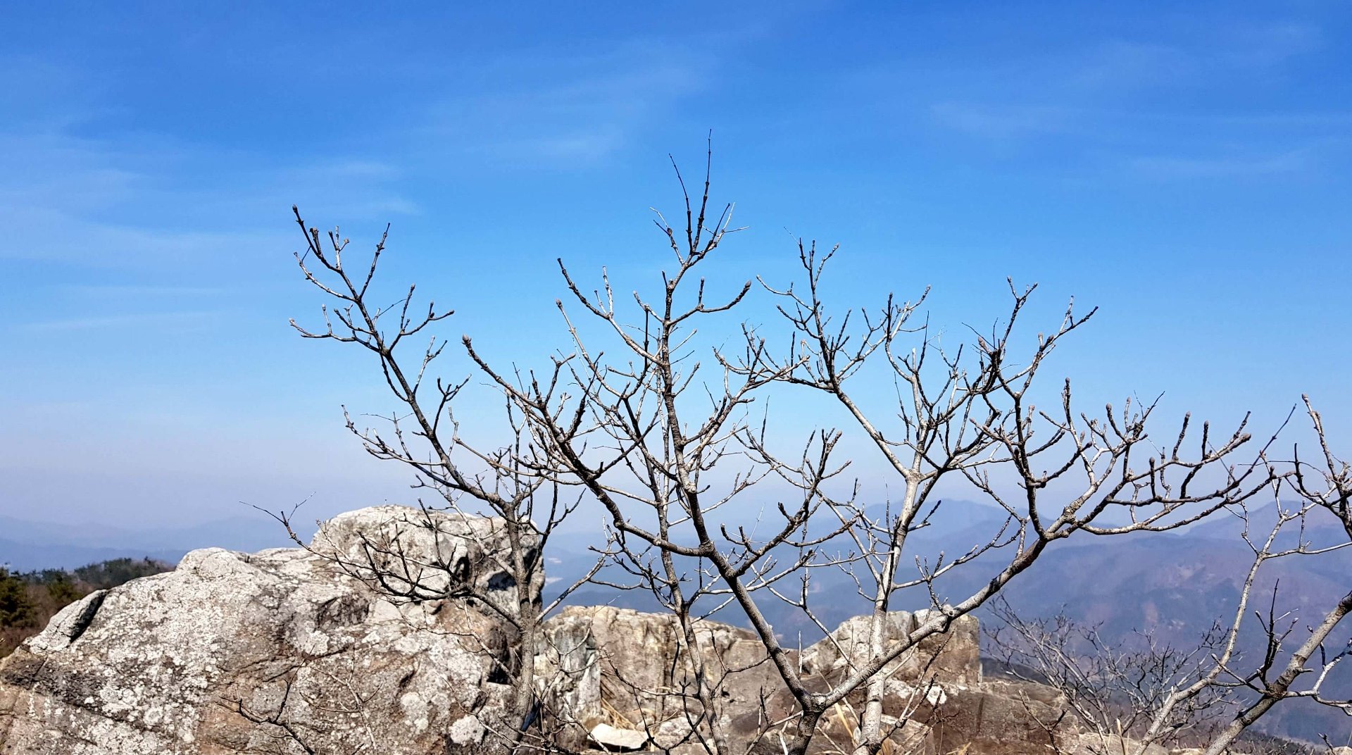 창원 무학산