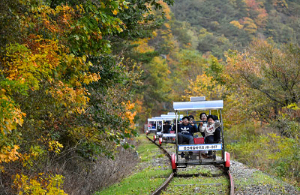 레일바이크 청도 정선 정동진 곡성