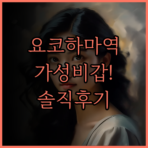 소테츠 프레사 인 요코하마 히가시구치