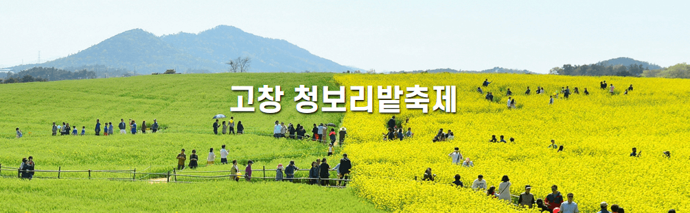 고창 청보리밭 축제