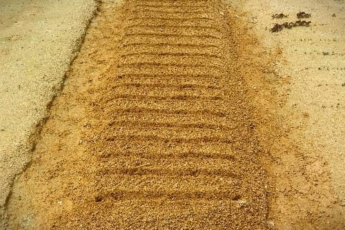 바질-재배법-씨앗-심는방법-파종방법