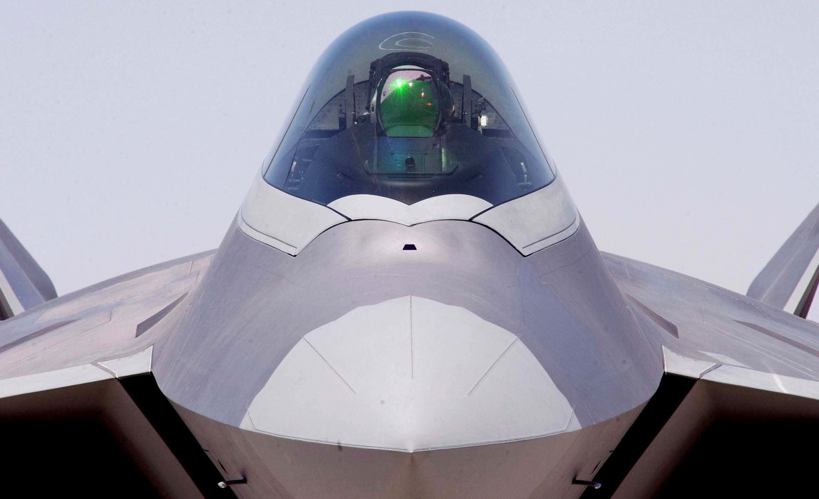 F-22의 전방 MLD. 다른 MLD는 전방 양쪽에 있다.