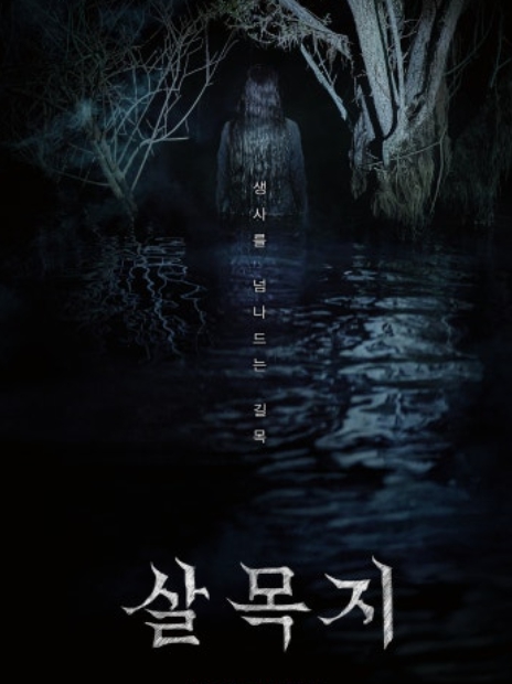 살목지 흥행 이유 딱 3가지 — 배경·연출·캐릭터 구조 한번에 분석