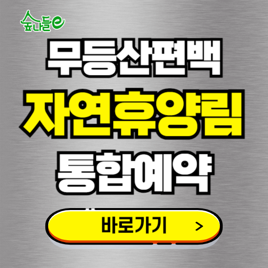 무등산편백 자연휴양림 온라인 예약하기 ❘ 숙소 야영장 캠핑장 실시간 예약 현황 보기 ❘ 전남 화순군