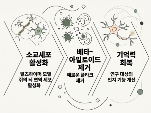 히비스커스의 효능