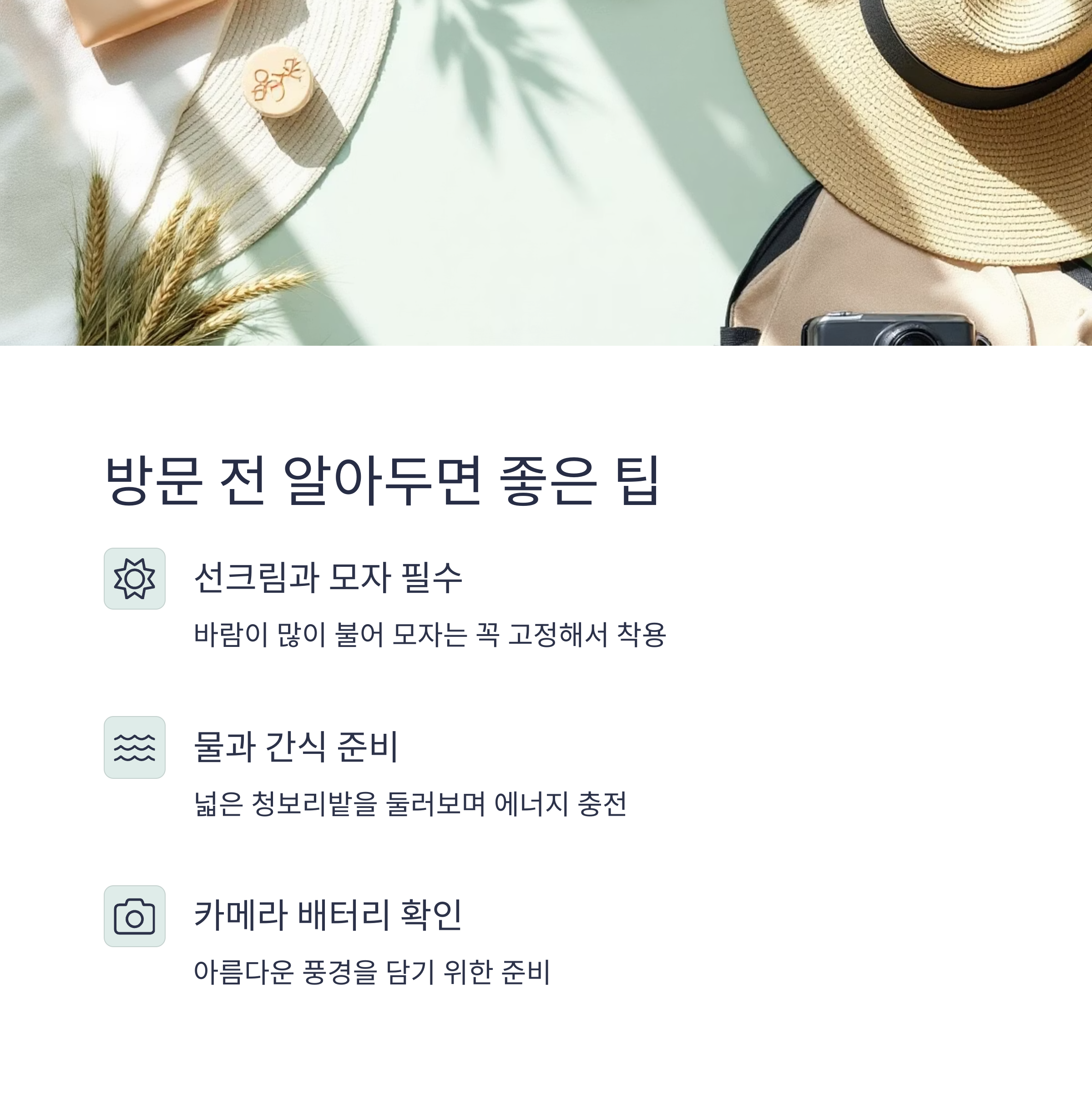 전북 고창 청보리밭