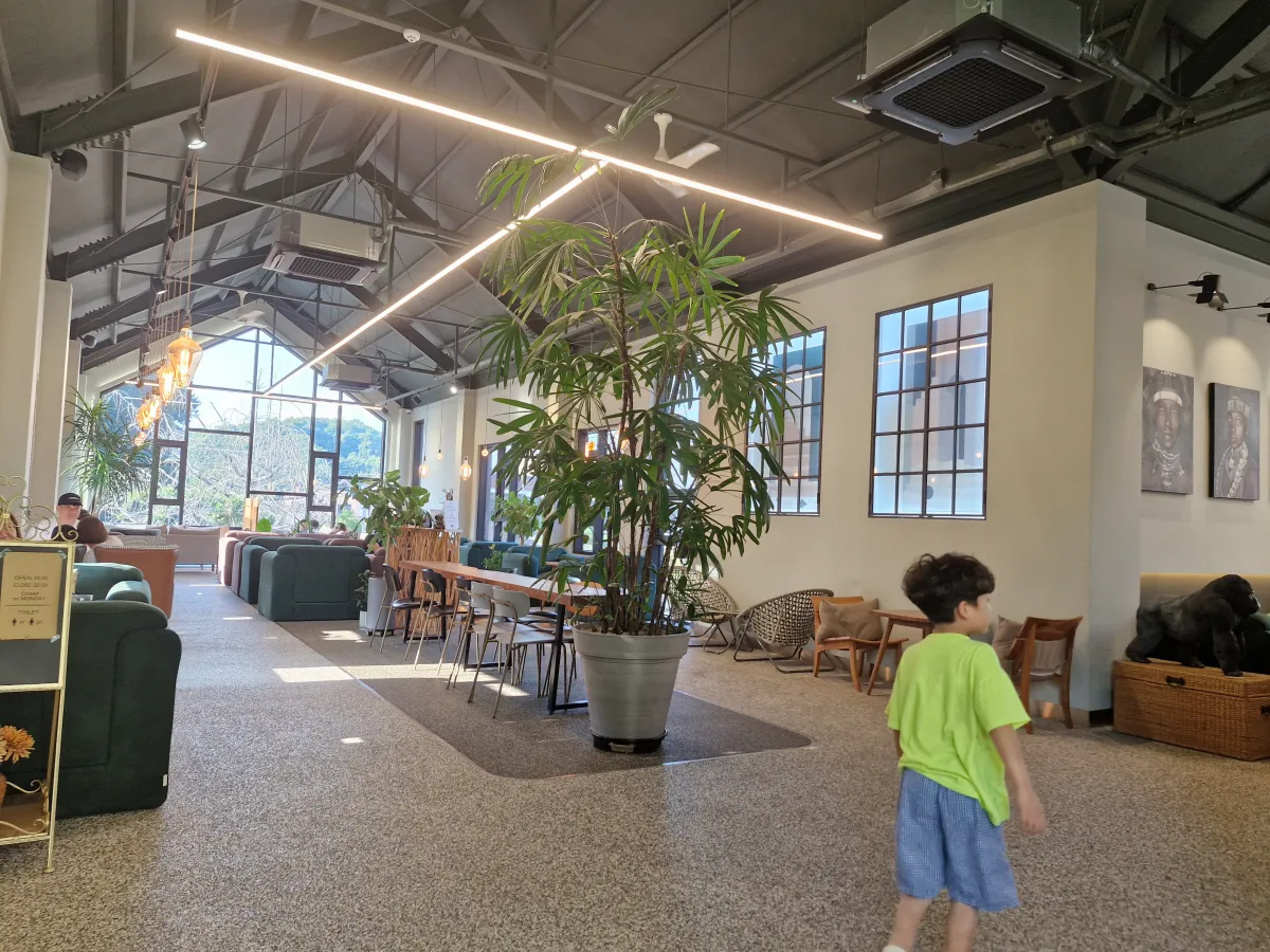 매장-내부-2층-모습-시원한-야자수-스타일
