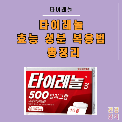 타이레놀 효능 성분 복용법 총정리