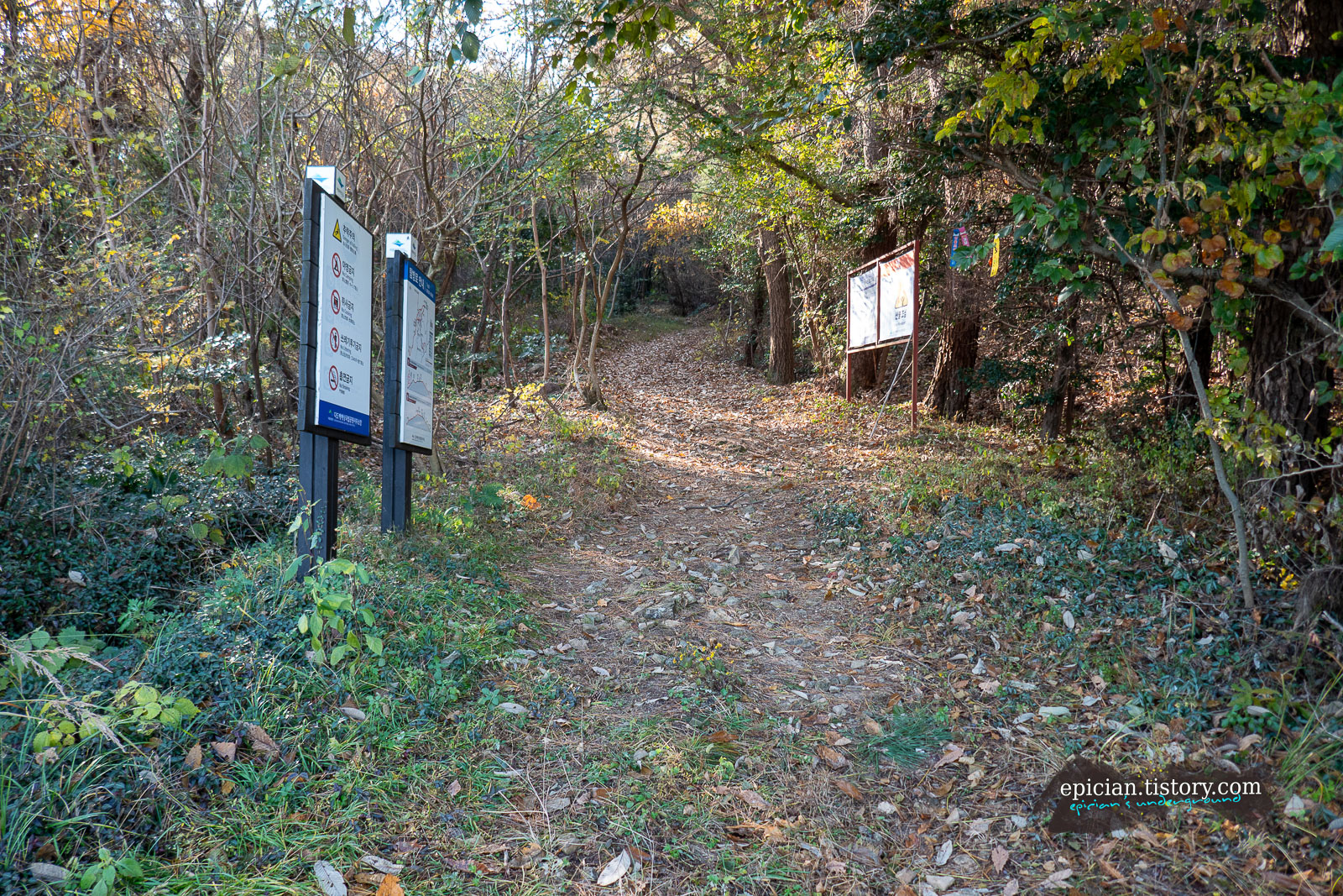 낙엽이 깔린 탐방로 초입