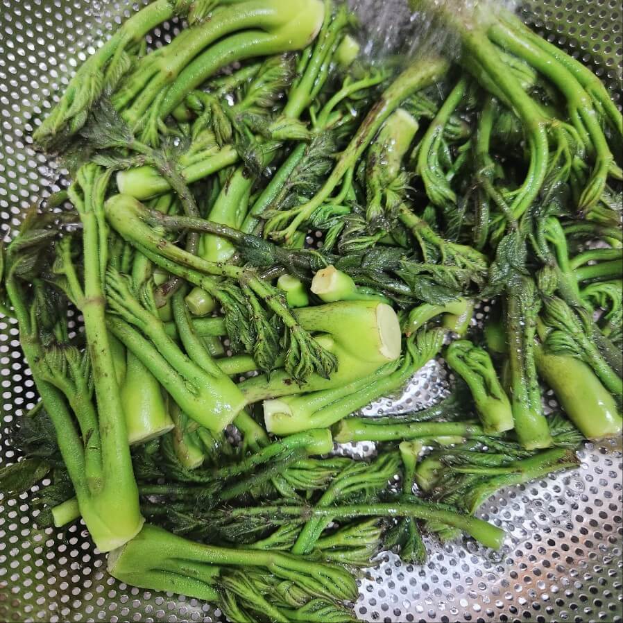 땅두릅요리 두릅 요리 두릅 요리법 두릅 요리 두릅꼬치전 4월제철음식 두릅요리 두릅전 두릅요리 두릅튀김 두릅 요리 튀김같은 바삭한 두릅전 부침개 두릅 데치기 참두릅 손질법 두릅요리 숙회만들기 두릅산적꼬치 봄에 상큼하게 즐기는 두릅요리 향긋한 풍미가 좋은 두릅요리 도시락메뉴 봄나물 두릅요리 두릅계란전:애어른 입맛 다 사로잡는 두릅요리 참두릅전 만드는법 막걸리한잔 생각나는 두릅요리 두릅나물 요리법 땅두릅 요리 땅두릅 나물 요리법 두릅요리법 두릅요리 데치기 두릅요리 김진옥 두릅요리 장아찌 물 두릅요리