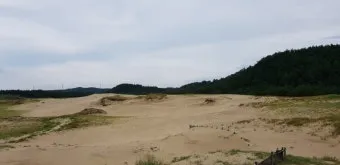 태안 신두리해수욕장 신두리해안사구 자연 풍경과 체험_8