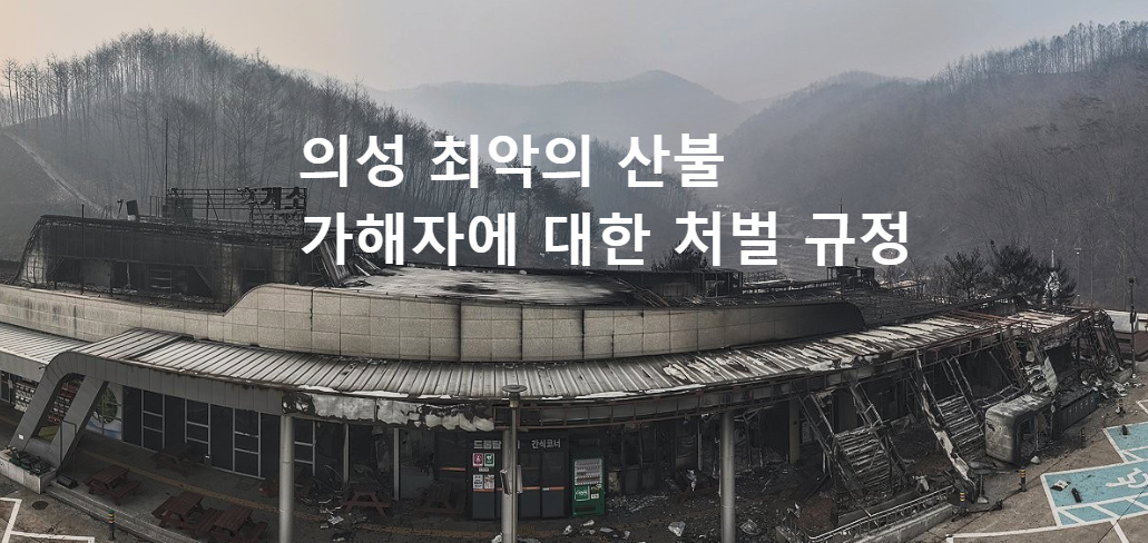 최근 경북 의성을 비롯해 전국 곳곳에서 대형 산불이 발생하면서 소중한 산림과 재산이 잿더미가 되고 있습니다. 이 글에서 산불 실화의 원인과 처벌규정, 실제 사례를 살펴보고, 산불을 예방하기 위한 방법을 알아보겠습니다.