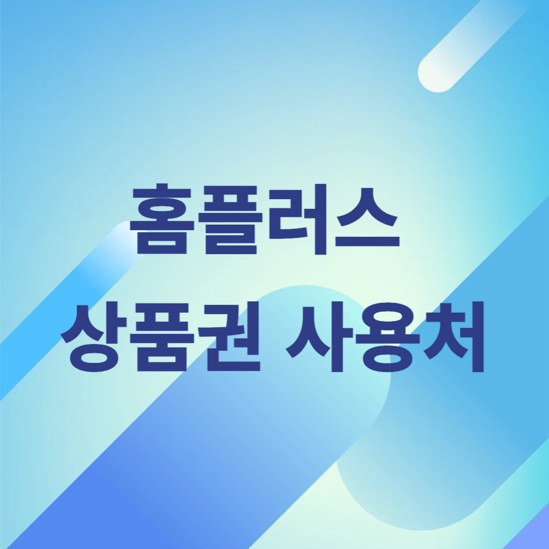 홈플러스 상품권 사용처