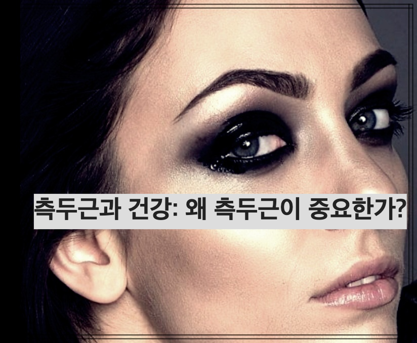 측두근과 건강: 왜 측두근이 중요한가?