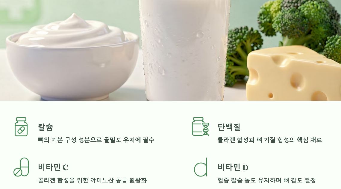 복숭아뼈 골절 완치 기간