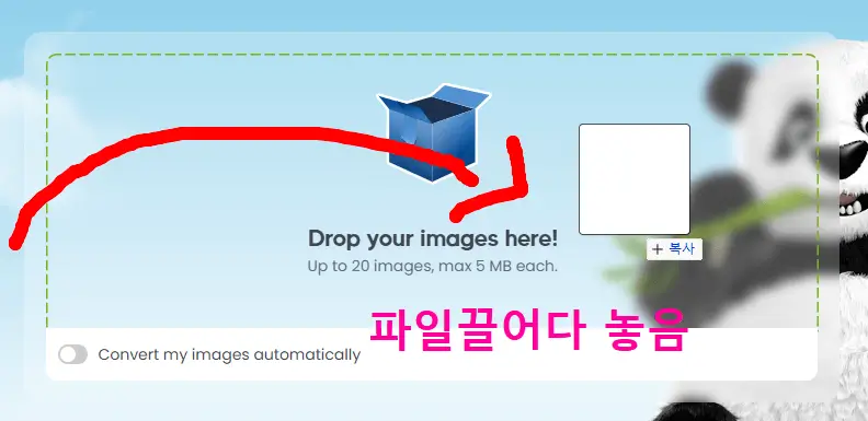 PG JPEG PNG WEBP 변환, 이미지 파일용량줄이기 Tinypng