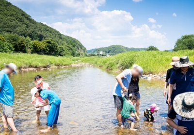 2024 양평메기수염 축제 일정&amp;#44; 예약&amp;#44; 주차장 위치