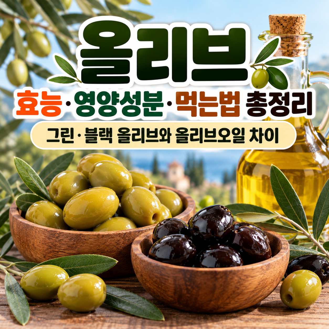 올리브 효능