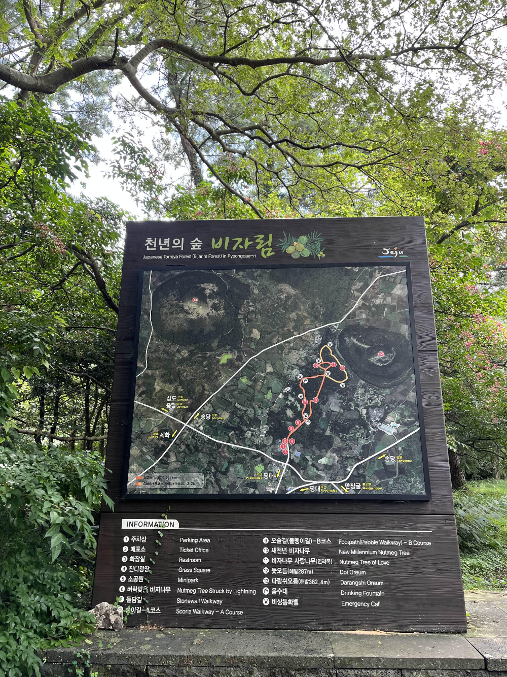 천년의 숲 비자림