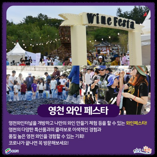 2024 영천 와인축제에서 놓치지 말아야 할 즐길거리와 먹거리, 체험 가이드