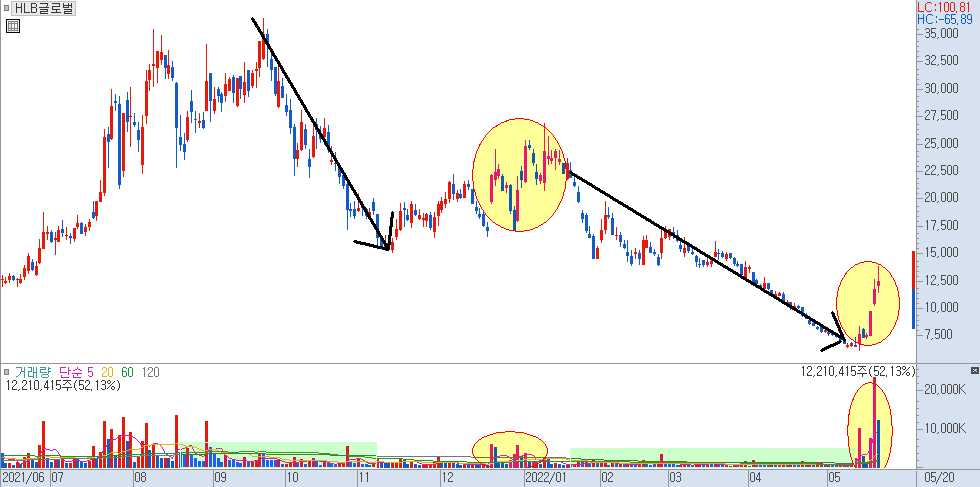 HLB 일봉 차트 2)