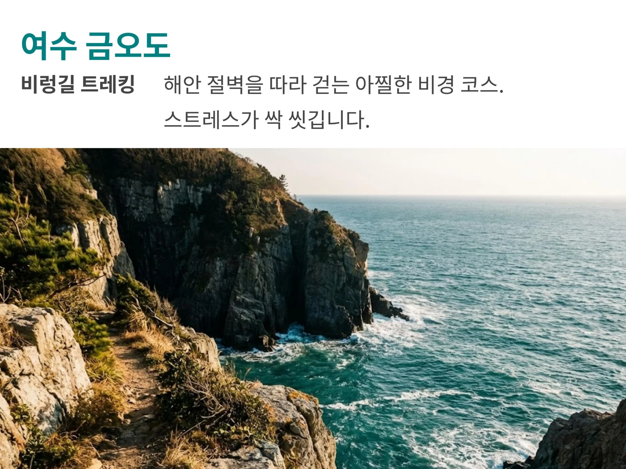 깎아지른 해안 절벽과 푸른 바다가 보이는 풍경 사진에 '비렁길 트레킹, 해안 절벽을 따라 걷는 아찔한 비경 코스' 설명이 적힌 이미지