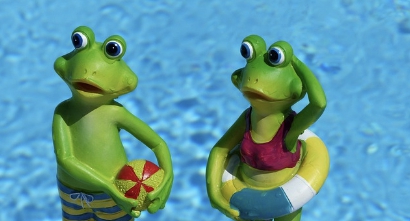 에너지바우처. 수영하는 개구리들.