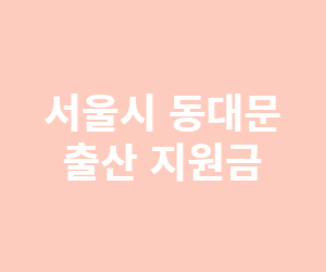 서울시 출산 지원금