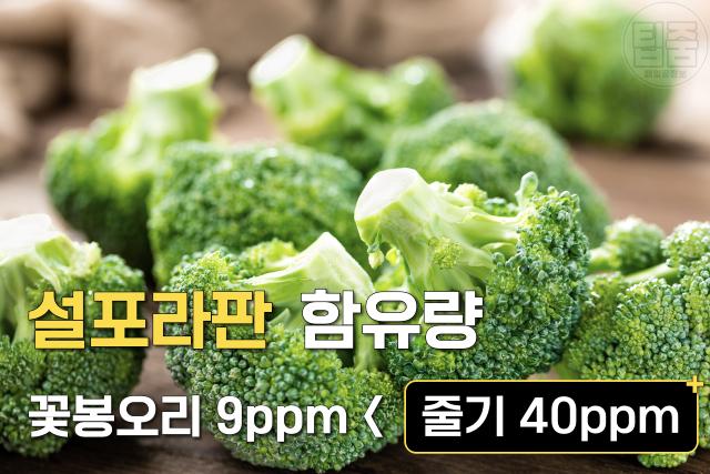 암세포 굶기는 식사법,브로콜리 줄기 효능 먹는법,팁줌