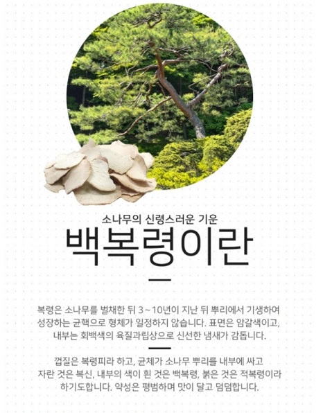 금강송복령