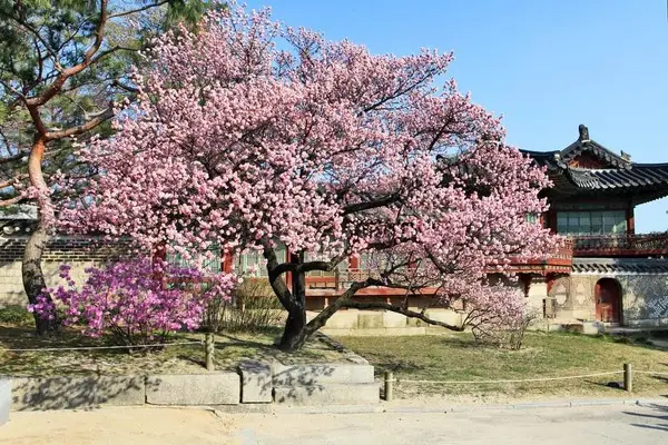 창덕궁 후원 관람 예약 방법4