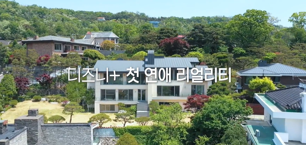 핑크라이