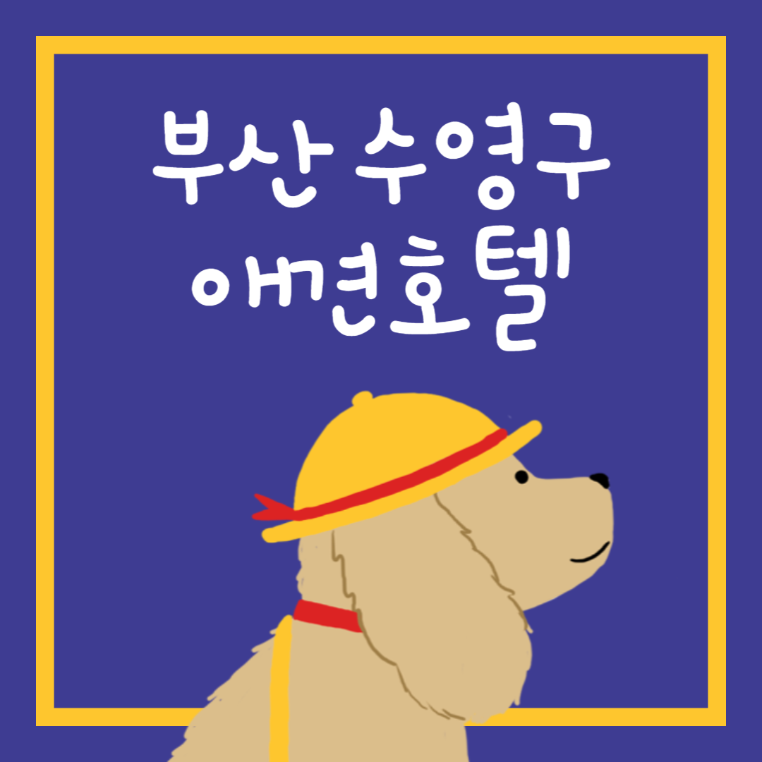 부산 수영구 애견호텔