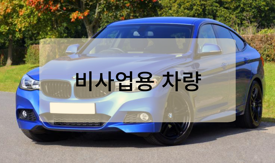 비사업용 승용차(개인 소유 차량)