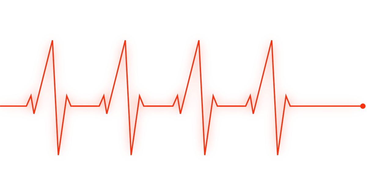 건강 검진 대상자 조회 방법&amp;#44; 1분만에 확인하세요! 