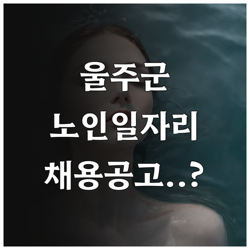 울산 울주군 시니어클럽 노인일자리 종..