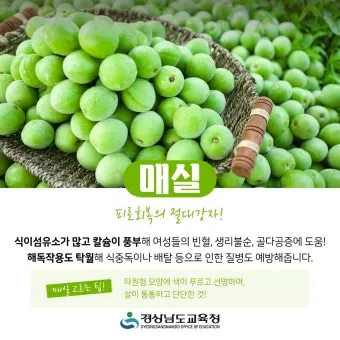 여름 준비는 건강한 식탁에서 6월 제철 음식 리스트 완벽 총정리_23