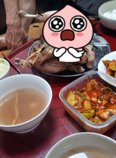 엄니가-뒷집-아저씨-닭-오늘-잡은-것으로-삼계탕을-끓여주시다