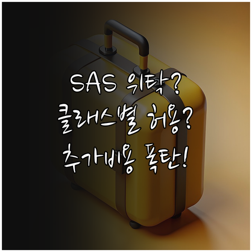 SAS 위탁수하물, 운임 클래스별 허..