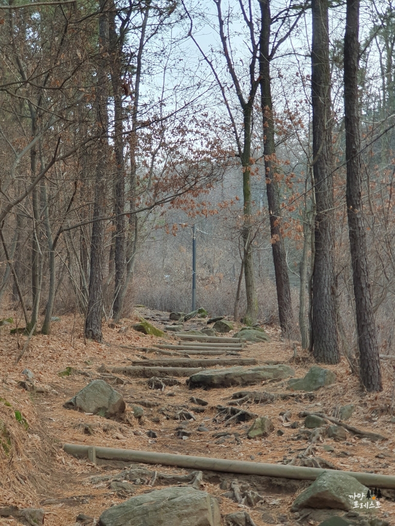대모산 올라가는 입구