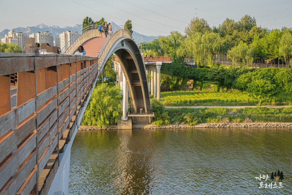 선유도공원 가는길