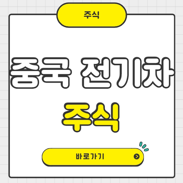 중국 전기차 주식