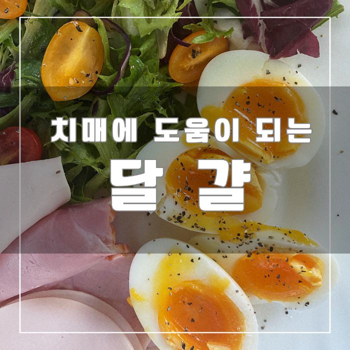 삶은 달걀
