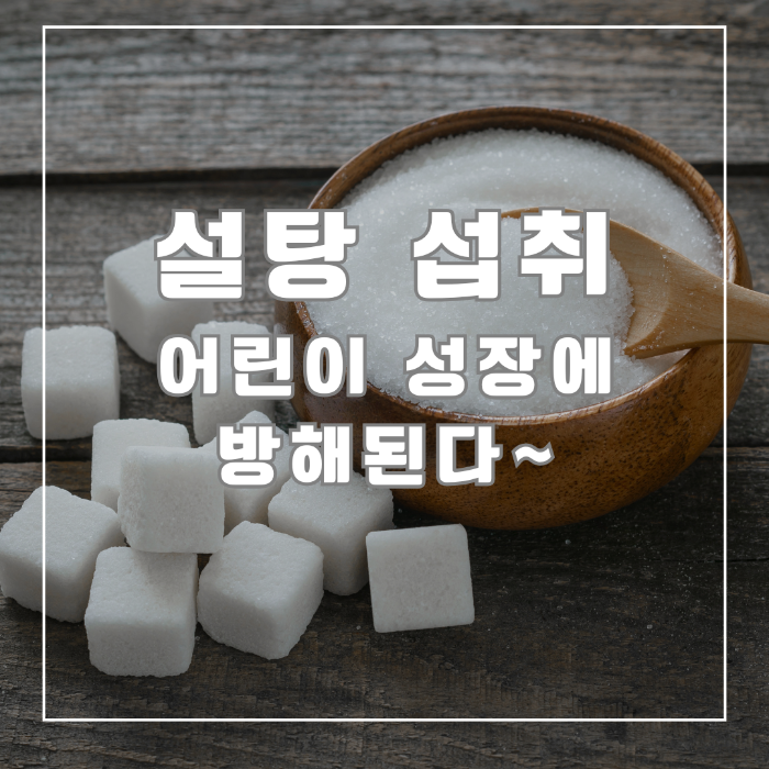 설탕섭취