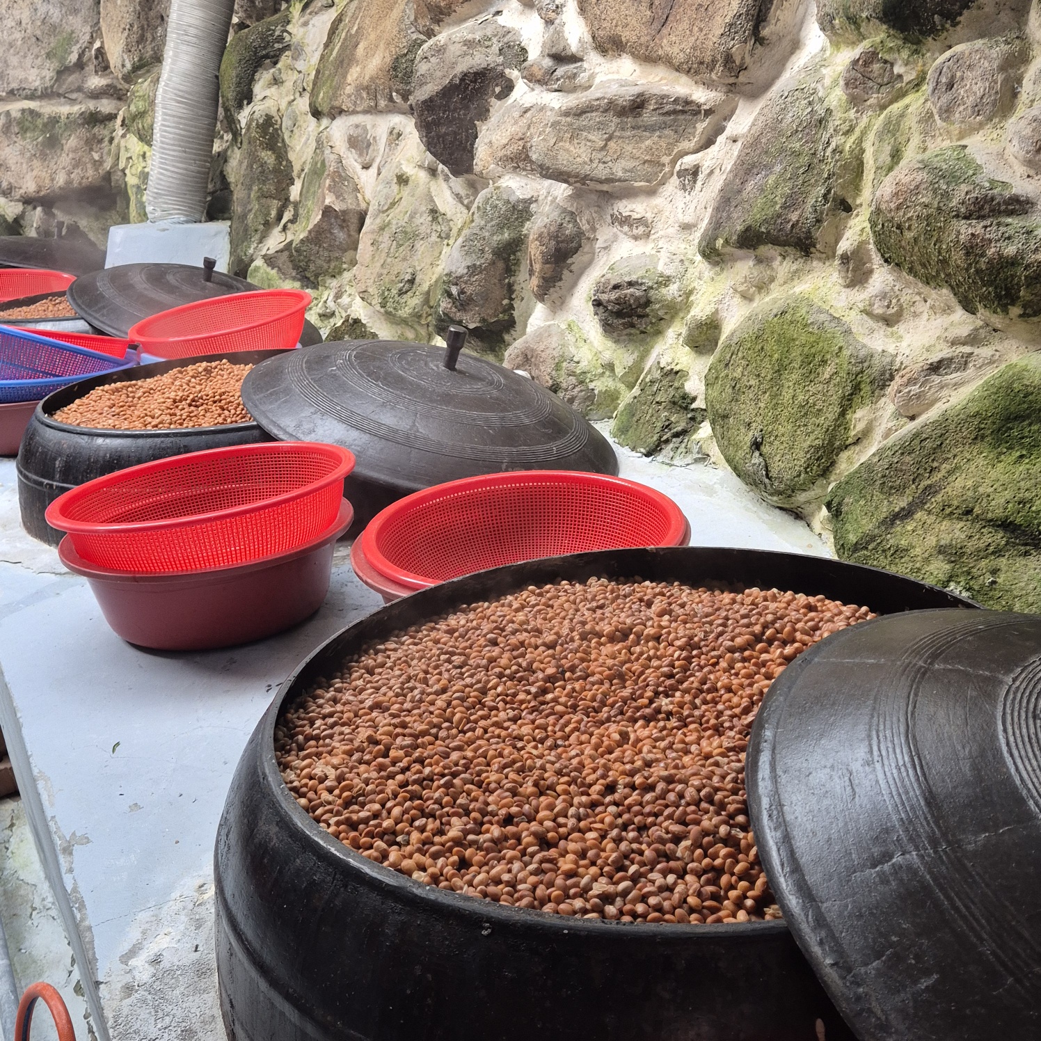 국산메주 예약판매 메주구입, 메주 1말가격