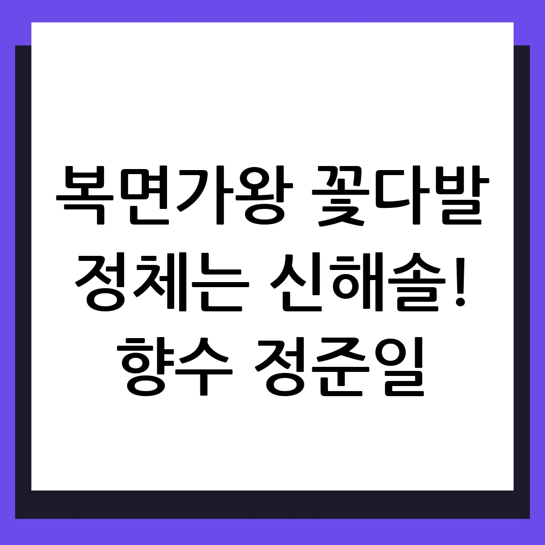 복면가왕