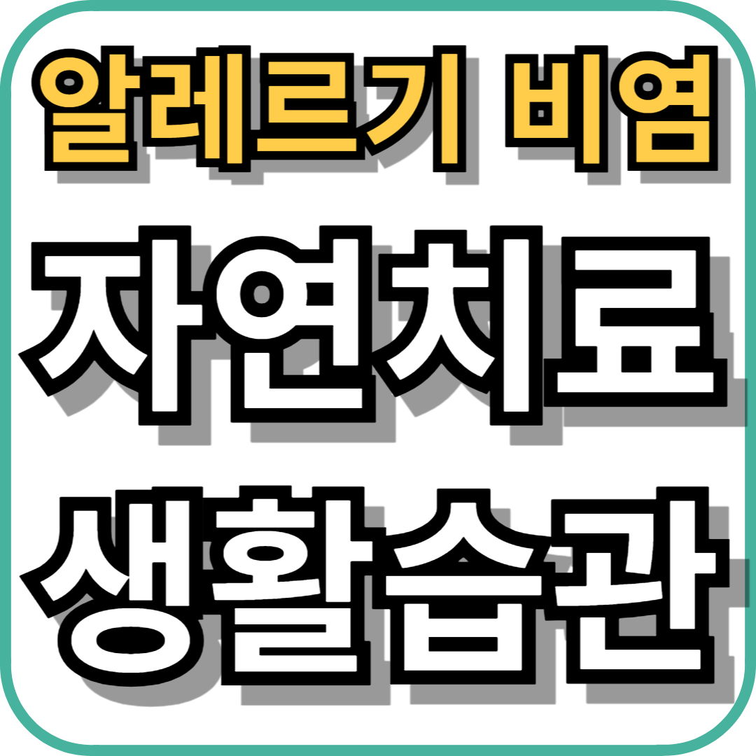 알레르기 비염 자연치료와 생활습관