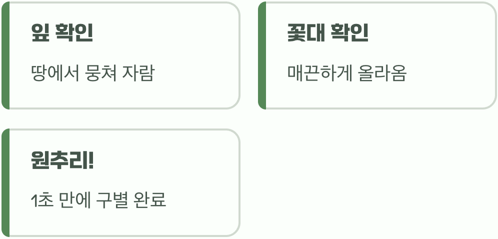 그래서&amp;#44; 이젠 구별할 수 있겠죠?